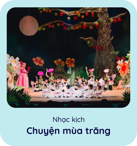 LP ảnh web 7